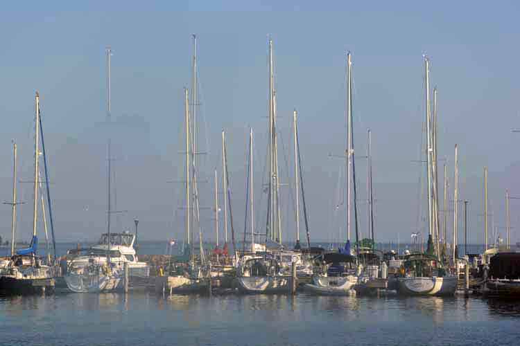 marina